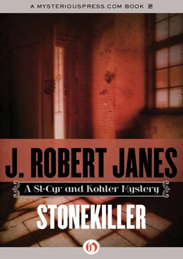 J. Janes Stonekiller обложка книги