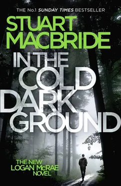 Stuart MacBride In the Cold Dark Ground обложка книги