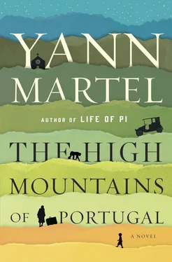 Yann Martel The High Mountains of Portugal обложка книги