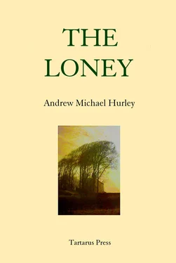 Andrew Hurley The Loney обложка книги