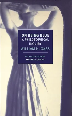 William Gass On Being Blue: A Philosophical Inquiry обложка книги