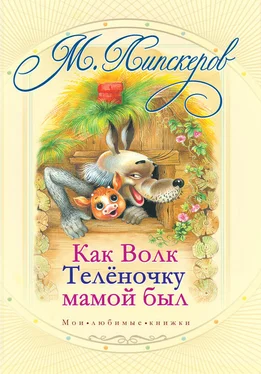 Михаил Липскеров Как волк теленочку мамой был и другие любимые сказки обложка книги