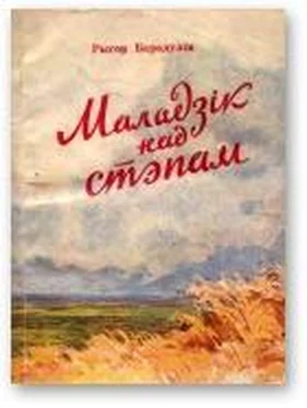 Рыгор Барадулін Маладзік над стэпам обложка книги