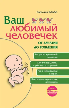 Светлана Клаас Ваш любимый человечек от зачатия до рождения обложка книги