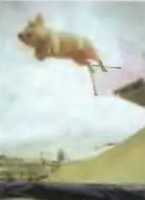 Как рыба в воде Мисс Пигги проживающая в Антии большая любительница - фото 93