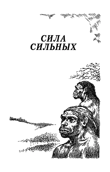 Сила сильных - фото 2