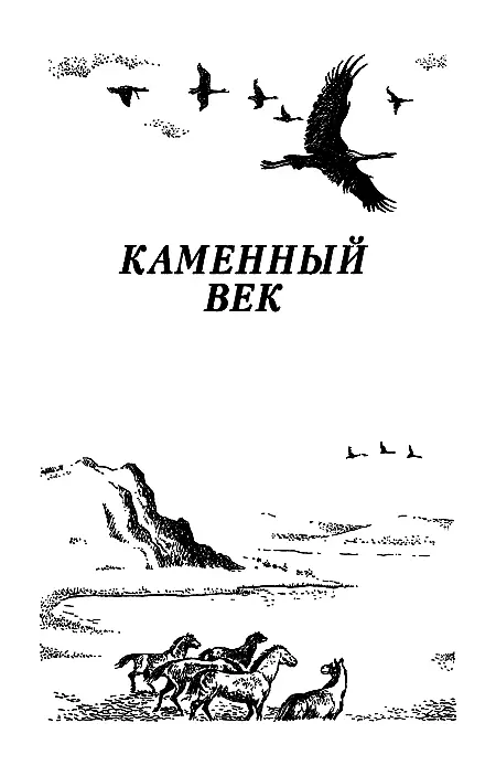 Каменный век - фото 2