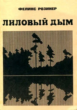 Феликс Розинер Лиловый дым обложка книги