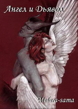 Melara-sama Ангел и Дьявол обложка книги