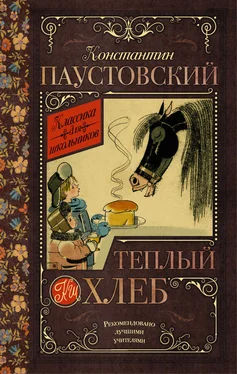 Константин Паустовский Теплый хлеб (сборник) обложка книги