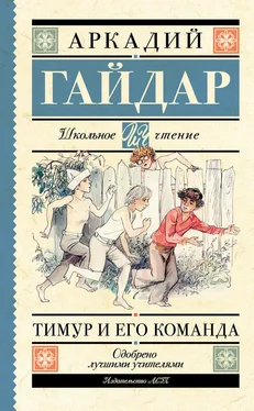 Аркадий Гайдар Тимур и его команда (сборник) обложка книги