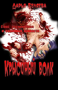 Дарья Беляева Крысиный волк обложка книги