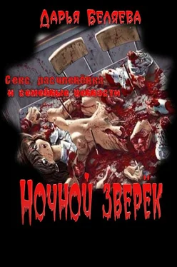 Дарья Беляева Ночной зверёк обложка книги