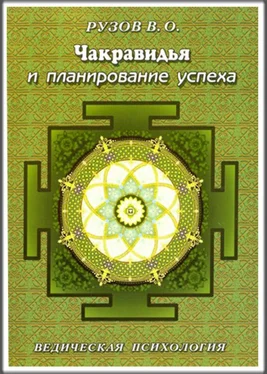 Вячеслав Рузов Чакравидья и планирование успеха обложка книги