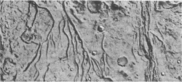 Русла марсианских рек заснятые американским межпланетным аппаратом Mariner9 - фото 8