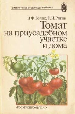 Владимир Белик Томат на приусадебном участке и дома обложка книги