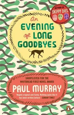 Paul Murray An Evening of Long Goodbyes обложка книги