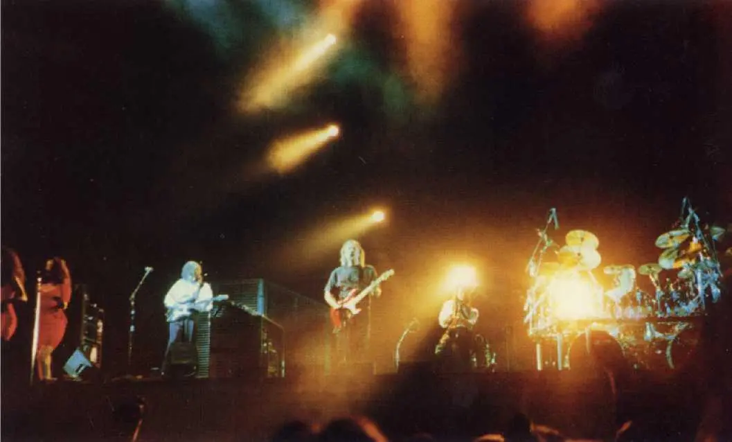 Концерт Delicate Sound Of Thunder 1989 Pink Floyd и гастрольная команда - фото 72
