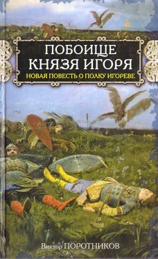 Виктор Поротников Побоище князя Игоря. Новая повесть о Полку Игореве обложка книги