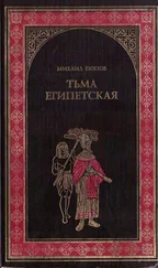 Михаил Попов - Тьма египетская