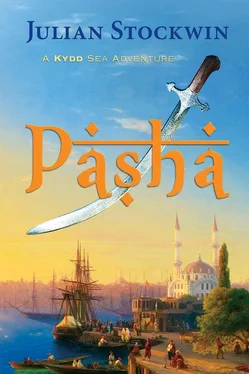 Stockwin Julian Pasha обложка книги