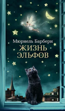 Мюриель Барбери Жизнь эльфов обложка книги