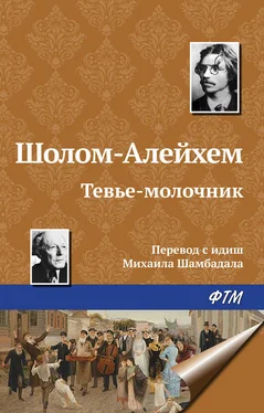 Шолом-Алейхем Тевье-молочник обложка книги