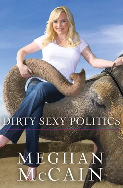 Meghan McCain Dirty Sexy Politics обложка книги