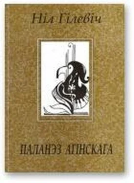 Ніл Гілевіч Паланэз Агінскага [Лірыка. Паэмы. 1996 – 2002] обложка книги