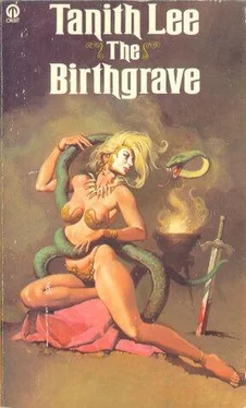 Tanith Lee The Birthgrave обложка книги