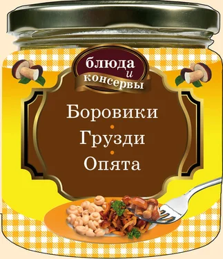 Е. Левашева Боровики. Грузди. Опята обложка книги