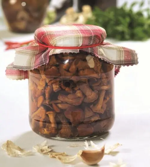 Состав 1 кг грибов 02 л воды чеснок хрен укроп листья смородины по вкусу 2 - фото 16