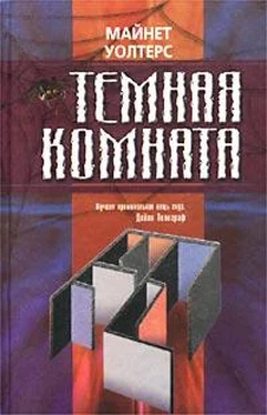 Майнет Уолтерс Темная комната обложка книги