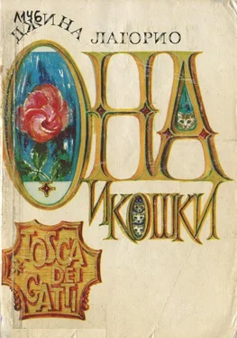 Джина Лагорио Она и кошки обложка книги