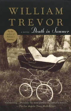 William Trevor Death in Summer обложка книги