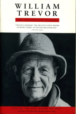 William Trevor Collected Stories обложка книги