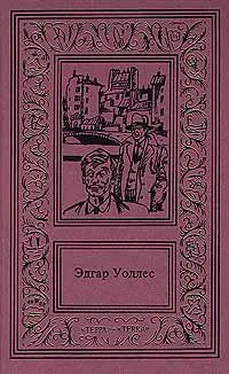 Эдгар Уоллес В паутине преступлений обложка книги