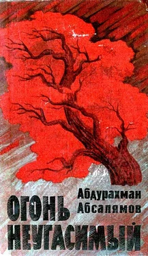 Абдурахман Абсалямов Огонь неугасимый обложка книги