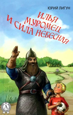 Юрий Лигун Илья Муромец и Сила небесная обложка книги