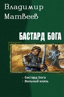 Владимир Матвеев Бастард Бога (Дилогия) обложка книги