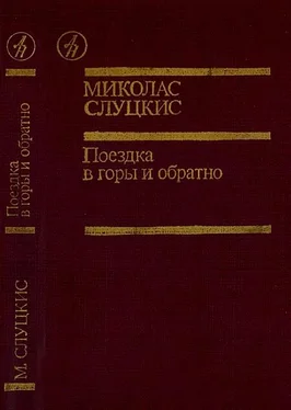 Миколас Слуцкис Поездка в горы и обратно обложка книги