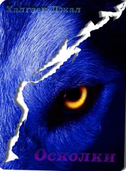 Джал Халгаев - Оскольки