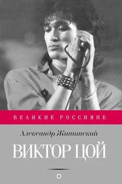 Александр Житинский Виктор Цой обложка книги