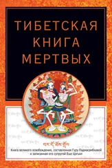 Роберт Турман - Тибетская книга мертвых