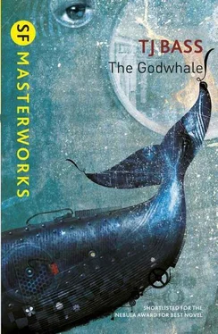 T. Bass The Godwhale обложка книги