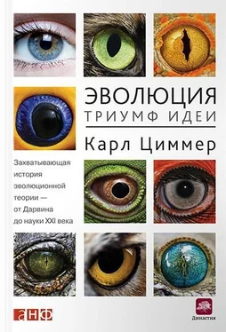 Карл Циммер Эволюция: Триумф идеи обложка книги