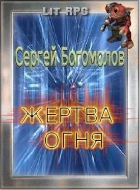 Сергей Богомолов Жертва огня обложка книги
