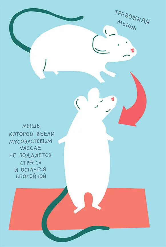 Например сегодня уже известно что в депрессии есть воспалительный компонент и - фото 10