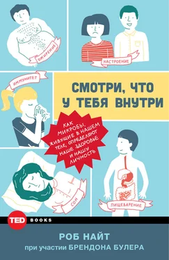 Роб Найт Смотри, что у тебя внутри. Как микробы, живущие в нашем теле, определяют наше здоровье и нашу личность обложка книги