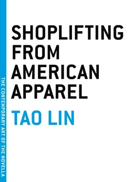 Tao Lin Shoplifting From American Apparel обложка книги